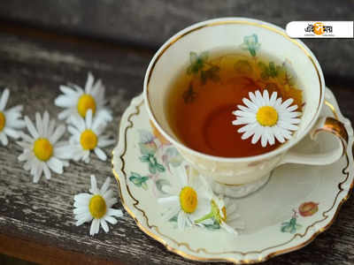 International Tea Day 2021: সুস্থ থাকতে কোন সমস্যায় কোন চা খাবেন? জানুন..