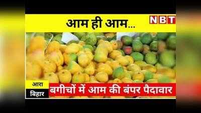 Bihar news: थोड़ा धैर्य रखिए! मार्केट में आने वाले हैं ARA के मशहूर रसीले और स्वादिष्ट Mango