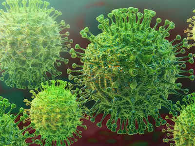 वैज्ञानिकों ने खोजा नया Coronavirus, कुत्तों से इंसानों में फैलता है