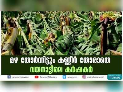 മഴ തോര്‍ന്നിട്ടും കണ്ണീര്‍ തോരാതെ വയനാട്ടിലെ കര്‍ഷകര്‍