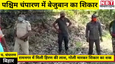 West Champaran News : पश्चिम चंपारण में बेजुबान का शिकार, भटक कर रिहाइशी इलाके में आ गया था हिरण