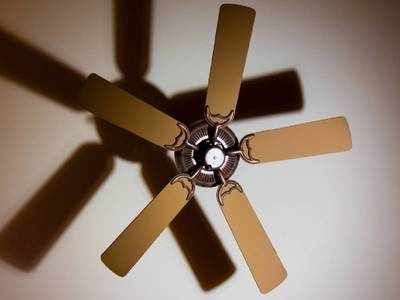 Best Ceiling Fan: पूरे कमरे को हवा से भर देगा यह हाई स्पीड सीलिंग फैन