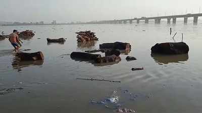 Ayodhya News:  अयोध्या में सरयू नदी का जलस्तर तेजी से बढ़ा, फसलें डूबने का खतरा