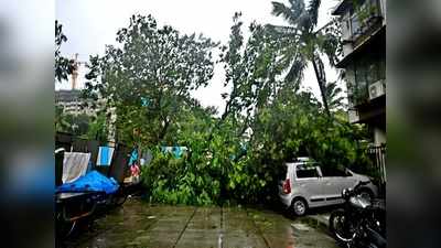 Cyclone Yaas: বিদ্যুৎ পরিষেবা সংক্রান্ত সমস্যায় অভিযোগ জানাবেন কোথায়?