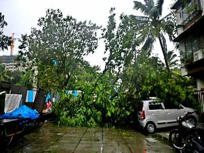 Cyclone Yaas: বিদ্যুৎ পরিষেবা সংক্রান্ত সমস্যায় অভিযোগ জানাবেন কোথায়?