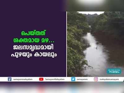 പെയ്തത് ശക്തമായ മഴ... ജലസമൃദ്ധമായി പുഴയും കായലും, വീഡിയോ കാണാം