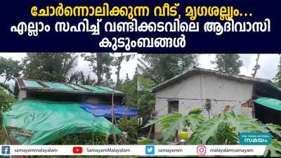 ചോർന്നൊലിക്കുന്ന വീട്, മൃ​ഗശല്ല്യം... എല്ലാം സഹിച്ച് വണ്ടിക്കടവിലെ ആദിവാസി കുടുംബങ്ങൾ