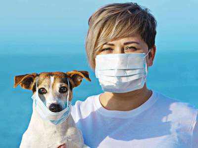 New Coronavirus: मलेशिया में मिला एक नया कोरोना वायरस, कुत्‍ते से इंसानों में हुआ संक्रमण