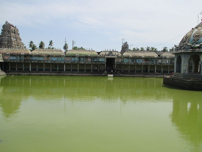 ​ತಾಳೆ ಗರಿಯಲ್ಲಿ ಪ್ರಶ್ನೆಗಳಿಗೆ ಉತ್ತರ