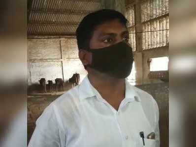 Sultanpur News: UP में गायों का हाल! शरीर में पड़ रहे कीड़े, सरकारी गोशाला में चारे की कमी से 2 गोवंश की मौत