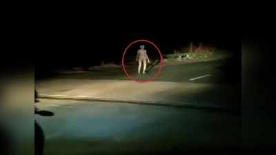 Hazaribagh News: सड़क किनारे दिखी अजीब आकृति, किसी ने कहा- एलियन है, तो किसी ने बताया भूत