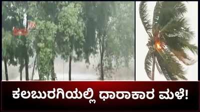 ಕಲಬುರಗಿಯಲ್ಲಿ ಗುಡುಗು ಸಹಿತ ಭಾರೀ ಮಳೆ: ಸಿಡಿಲು ಬಡಿದು 11 ಮೇಕೆಗಳ ದಾರುಣ ಸಾವು!