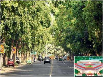 सेंट्रल विस्टा प्रोजेक्ट से बदल जाएगी दिल्ली के इन सड़कों की सूरत, जानें क्या होंगे बदलाव