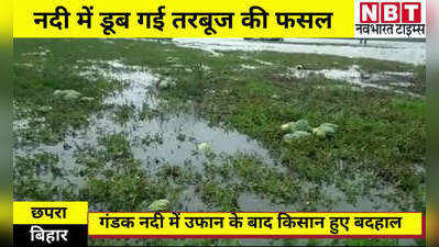 Bihar News: गंडक में उफान के बाद यहां डूब गई सैकड़ों एकड़ तरबूज की फसल, किसान हुए बदहाल