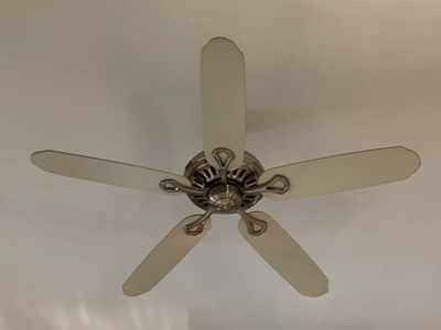 5 Star Ceiling Fan : इन Ceiling Fans से मिलेगी तेज हवा और बिजली का बिल आएगा कम, मात्र 1,369 रुपए की कीमत से शुरू