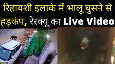 Chhatarpur News: रहवासी इलाके में घुसे भालू ने मचाई दहशत, देखें रेस्क्यू का Live Video