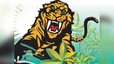 Tiger Attack: वाघाच्या हल्ल्यात दोघे गंभीर जखमी; झरी वनपरिक्षेत्रातील घटना