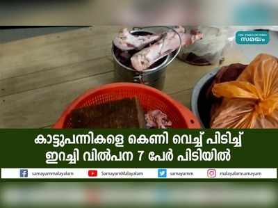 കാട്ടുപന്നികളെ കെണി വെച്ച് പിടിച്ച് ഇറച്ചി വിൽപന  7 പേർ പിടിയിൽ 