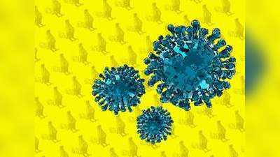 कोरोना महामारी के बीच इंसान के अंदर बर्डफ्लू H10N3 का संक्रमण, चीन से सामने आया पहला केस
