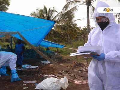 Bird Flu: ফের চিন, মানব শরীরে হদিশ বার্ড ফ্লুর H10N3 স্ট্রেনের