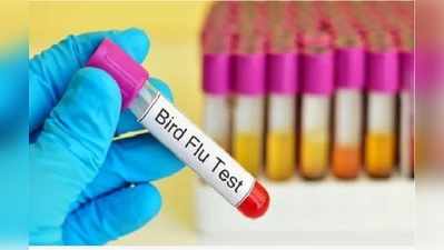 ప్రపంచంలోనే తొలిసారిగా మనిషికి సోకిన Bird Flu.. చైనాలో గుర్తింపు!