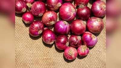 Onion Benefits: गर्मियों में प्याज खाने की ये पुरानी आदत कोरोना को देगी टक्कर, इस तरह सेवन से बढ़ जाएगी इम्यूनिटी