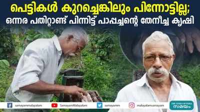 പെട്ടികള്‍ കുറച്ചെങ്കിലും പിന്നോട്ടില്ല;  ഒന്നര പതിറ്റാണ്ട് പിന്നിട്ട് പാപ്പച്ചന്‍റെ തേനീച്ച കൃഷി