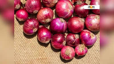 Onion Benefits: বাড়বে প্রতিরোধ ক্ষমতা, গরমে রোজ খান কাঁচা পেঁয়াজ!