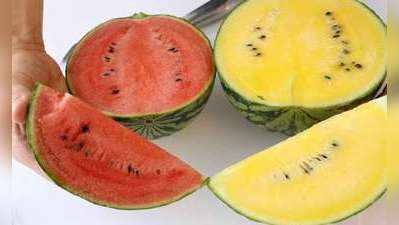 Yellow Watermelon: लाल तरबूज से भी ज्यादा पावरफुल है पीला तरबूज, किसानों को हो रही है तिगुनी कमाई