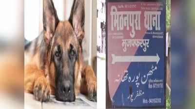 Muzaffarpur News: कुत्ते की फोड़ दी आंख, शरीर में पड़ गए कीड़े फिर भी नहीं करवाया इलाज, मालिक के खिलाफ केस दर्ज