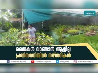 തൈകള്‍ വാങ്ങാന്‍ ആളില്ല; പ്രതിസന്ധിയില്‍ നഴ്‌സറികള്‍