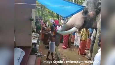 Elephant pays Tribute: 25 ஆண்டுகாலமாக தன்னை வளர்த்த பாகனிற்கு இறுதி மரியாதை செய்த யானை - வைரல் வீடியோ