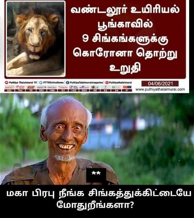 சிங்கத்தை சீண்டும் கொரோனா மீம்ஸ்...