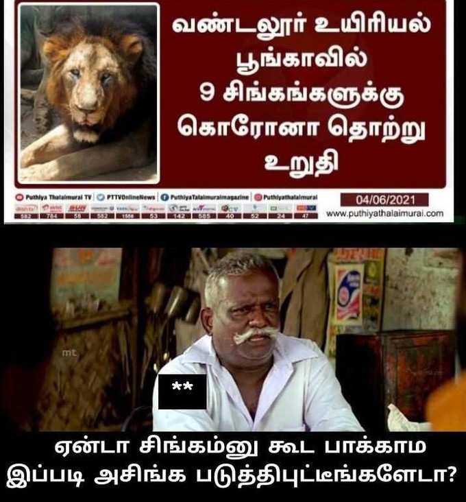 சிங்கத்தை சீண்டும் கொரோனா மீம்ஸ்...