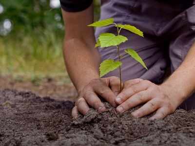 World Environment Day: পরিবেশ দিবসে বিশেষ ভূমিকায় পূর্ব রেল