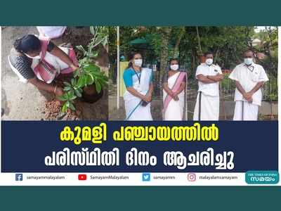 കുമളി പഞ്ചായത്തിൽ പരിസ്ഥിതി ദിനം ആചരിച്ചു, വീഡിയോ കാണാം