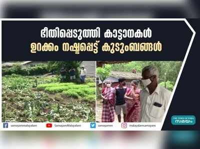 ഭീതിപ്പെടുത്തി കാട്ടാനകള്‍; ഉറക്കം നഷ്ടപ്പെട്ട് കുടുംബങ്ങള്‍