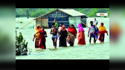 নোনা জলের গ্রামে ভিটেছাড়া পোষ্যরাও