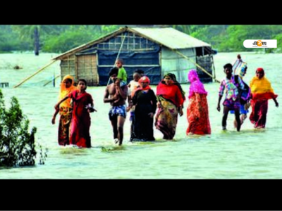 নোনা জলের গ্রামে ভিটেছাড়া পোষ্যরাও