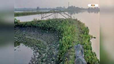 পূর্ব কলকাতা জলাভূমির হাল ফেরাতে ১২০ কোটির পরিকল্পনা