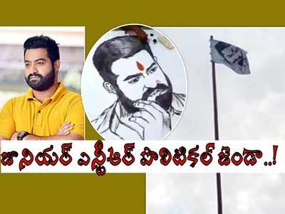 Jr NTR: రాజకీయాల్లోకి ఎన్టీఆర్.. జెండా ఎగరేసిన అభిమానులు.. చంద్రబాబు ఇలాకాలోనే..!