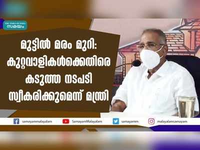 മുട്ടിൽ മരം മുറി: കുറ്റവാളികൾക്കെതിരെ കടുത്ത നടപടി സ്വീകരിക്കുമെന്ന് മന്ത്രി