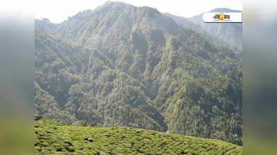 ভেজা পথের ভালোবাসা