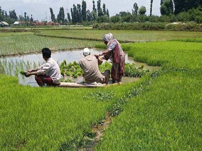 खेत में किसान का हुआ टीकाकरण