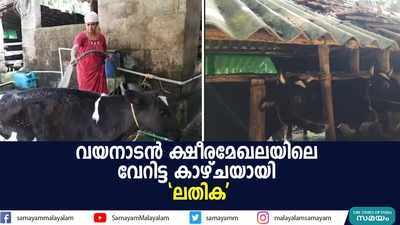 വയനാടന്‍ ക്ഷീരമേഖലയിലെ വേറിട്ട കാഴ്ചയായി ലതിക 