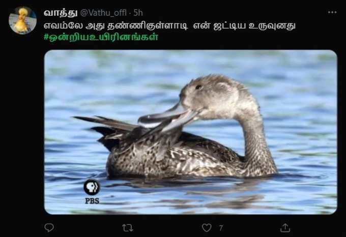 #ஒன்றிய_உயிரினங்கள் மீம்ஸ்