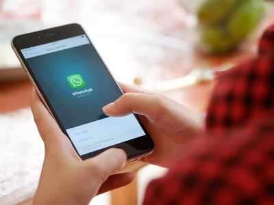 WhatsApp চ্যাটে বড় ভিডিয়ো বা ফাইল পাঠাবেন কী ভাবে? জানুন
