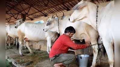 ಕೋವಿಡ್‌ನಿಂದ ಮೃತಪಟ್ಟ ಹೈನುಗಾರರ ಕುಟುಂಬಕ್ಕೆ ಹಾಲು ಒಕ್ಕೂಟದಿಂದ ₹1 ಲಕ್ಷ ಪರಿಹಾರ