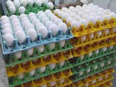 Egg Price: भीषण गर्मी में सस्ता होने के बजाय अंडा पहुंच गया आसमान में, समझिए अंडे का अर्थशास्त्र
