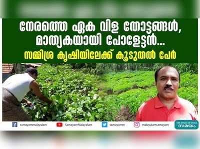 നേരത്തെ ഏക വിള തോട്ടങ്ങൾ, മാത്യകയായി പോളേട്ടൻ... സമ്മിശ്ര കൃഷിയിലേക്ക് കൂടുതൽ പേർ